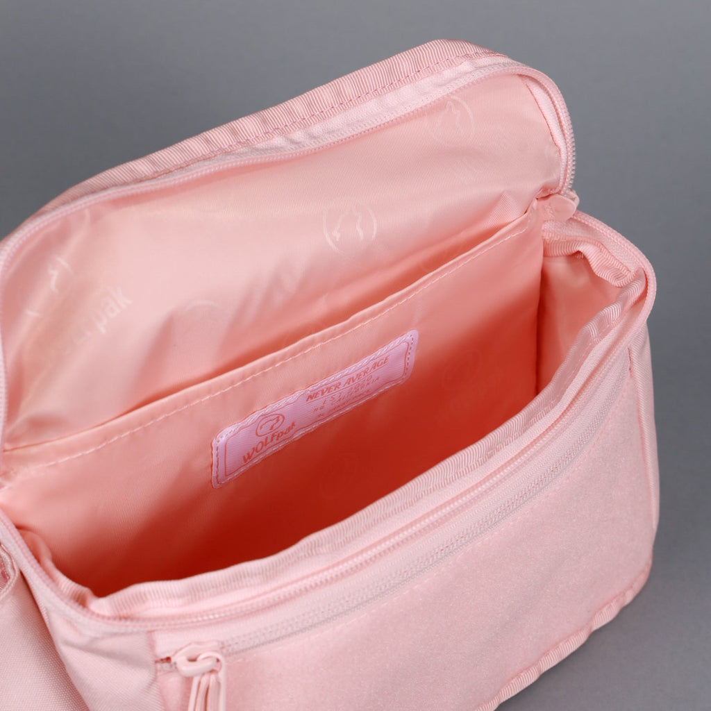 Fanny Pack The Dream Is Real