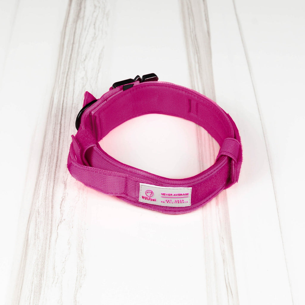 Tactical Nylon Dog Collar Pink Goddess