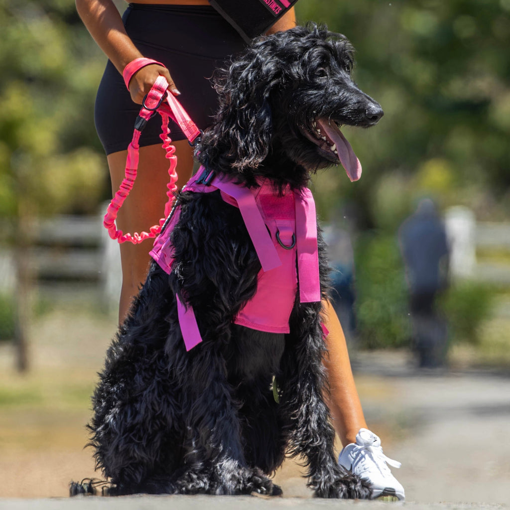 Neon Pink Tactical Dog Vest Harness