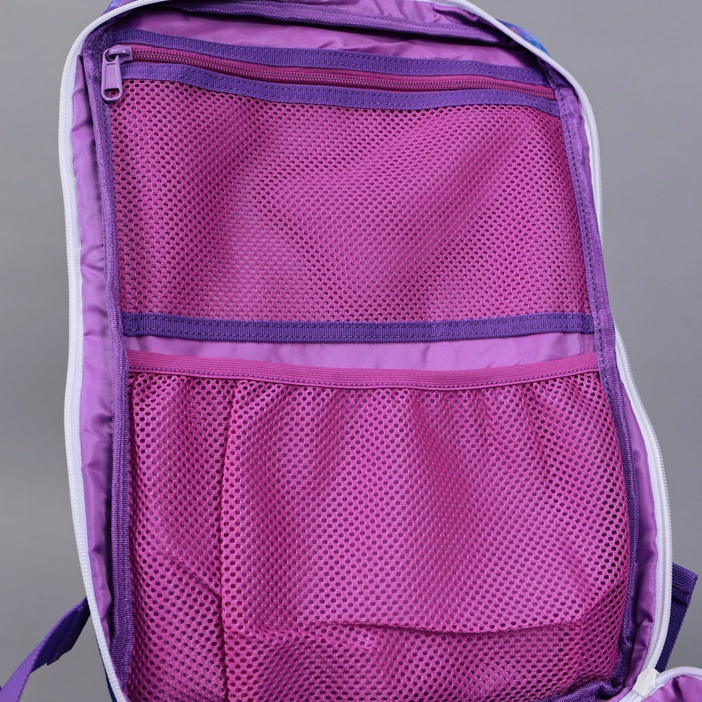 25L Backpack Ice