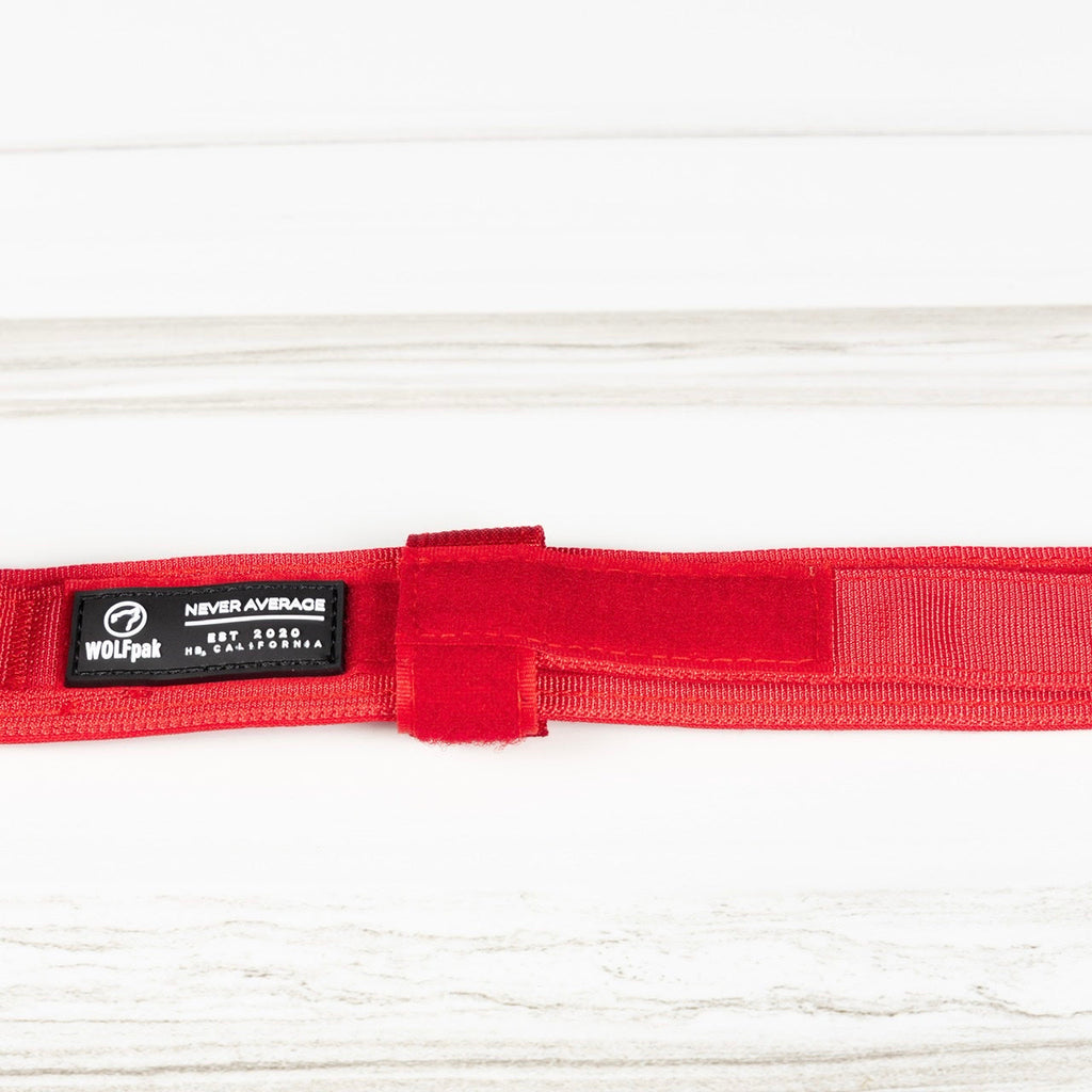 Tactical Nylon Dog Collar Elite Red