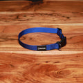 Adjustable Nylon Dog Collar Champion Blue