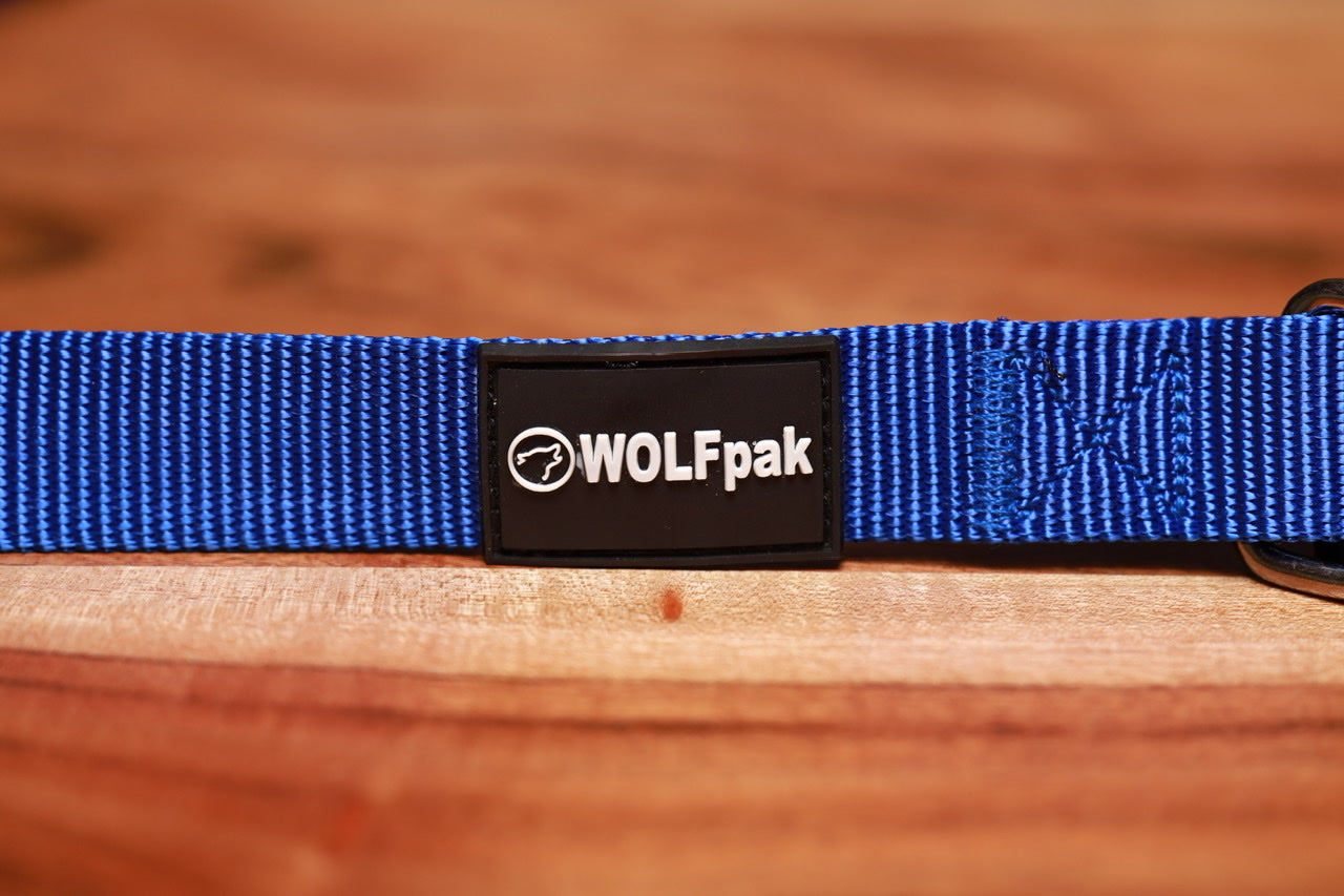 Adjustable Nylon Dog Collar Champion Blue