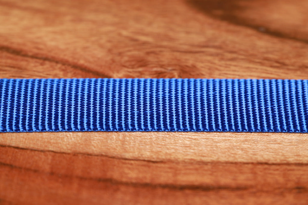 Adjustable Nylon Dog Collar Champion Blue