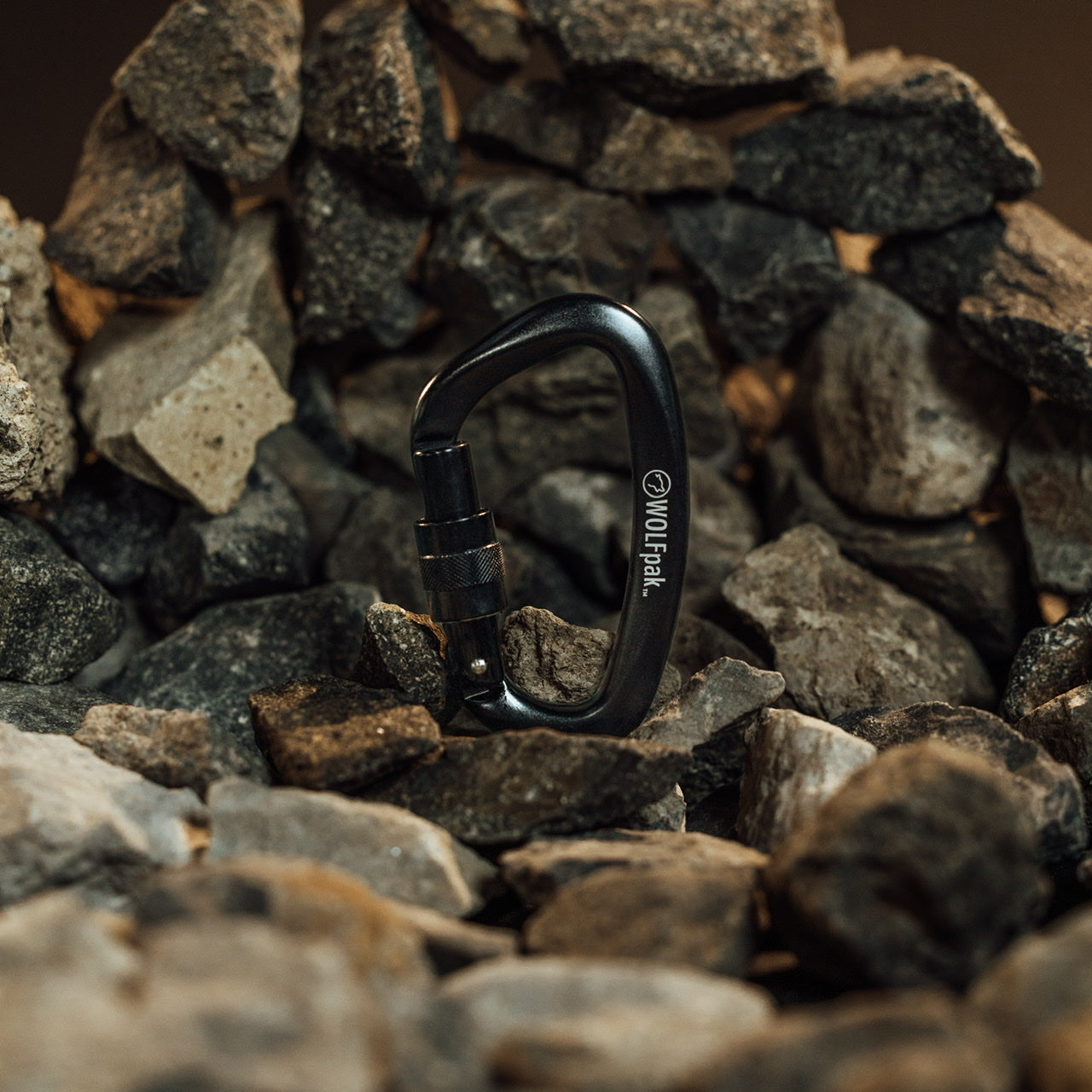 Accessory Carabiner Black & Black
