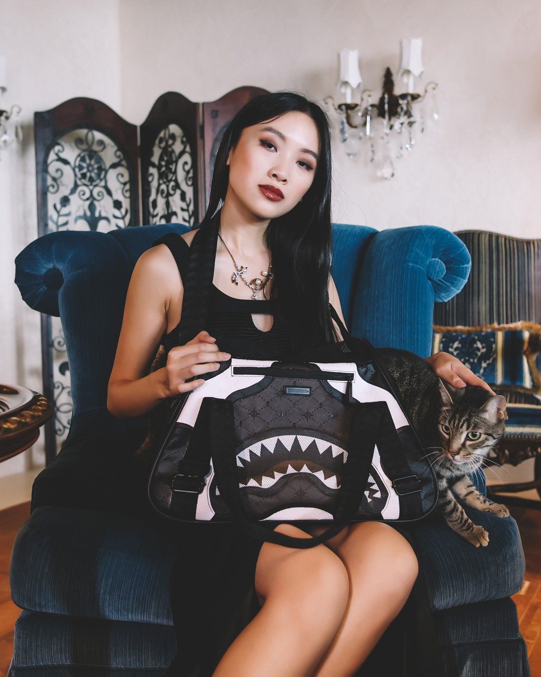 V.V.I.P. PET CARRIER