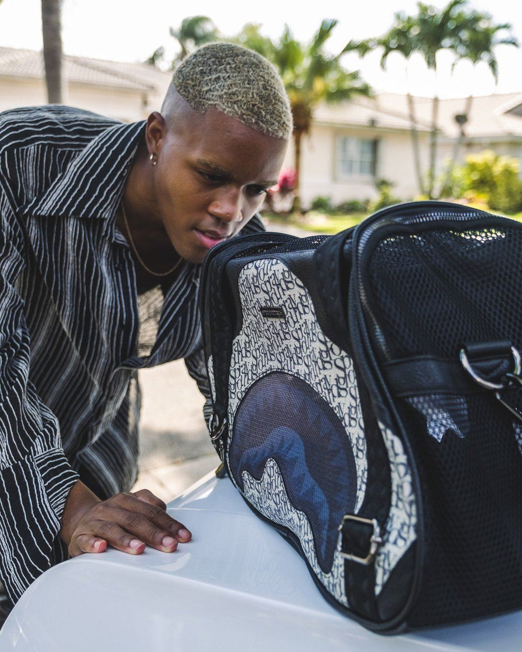 SG ALL DAY PET CARRIER