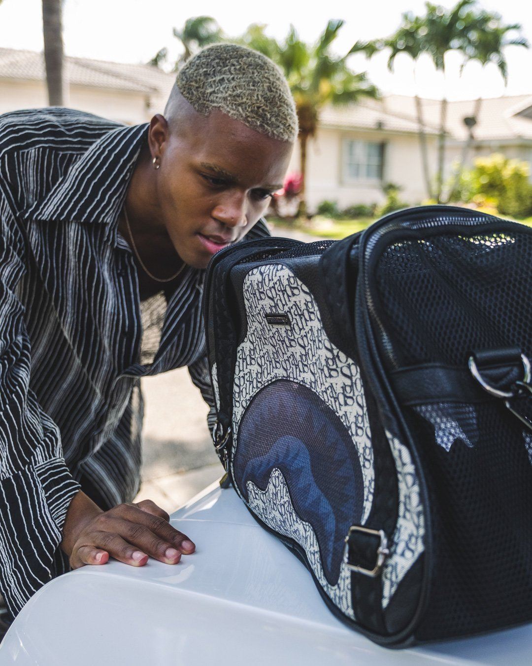 SG ALL DAY PET CARRIER