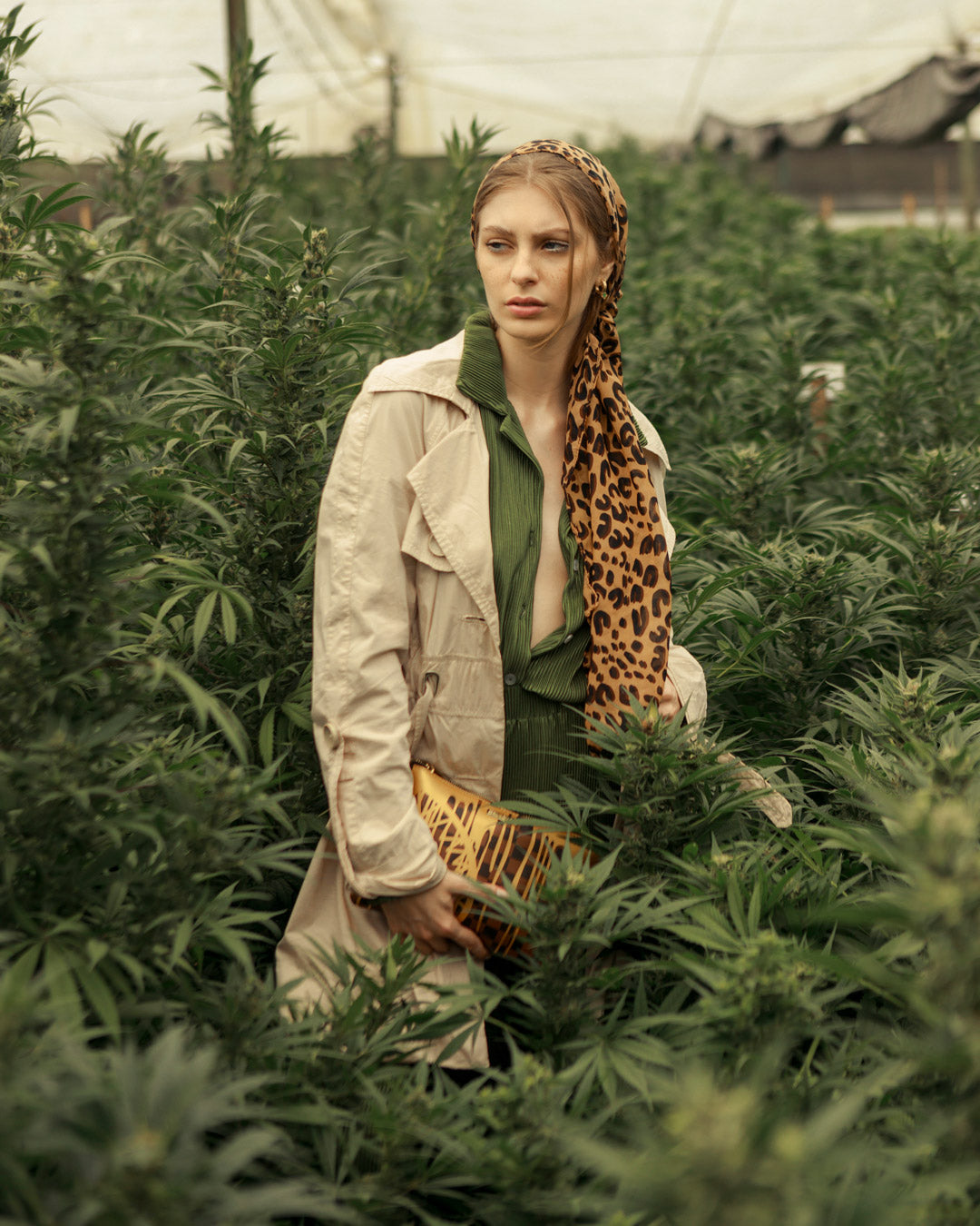 PARIS PAINT CROSSOVER CLUTCH