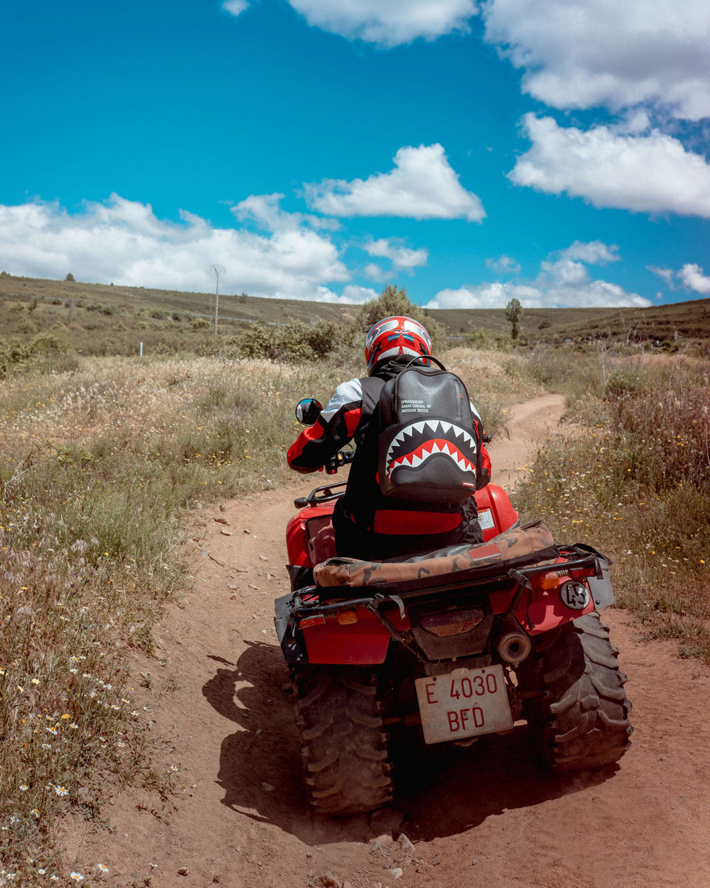 SHARK CENTRAL (BLACK) (DLXV)