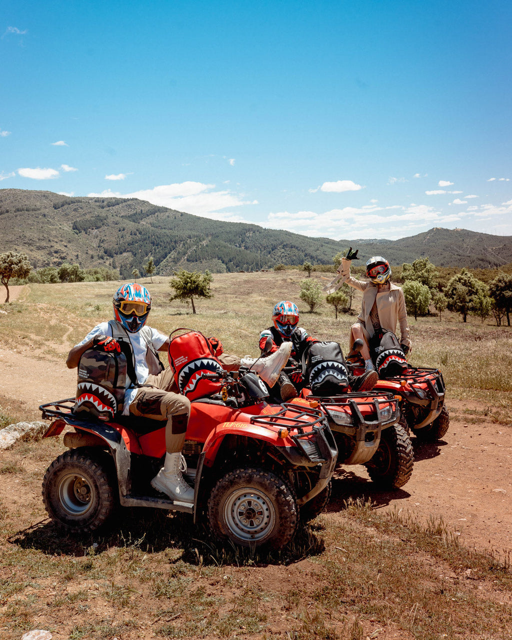 SHARK CENTRAL (RED) (DLXV)