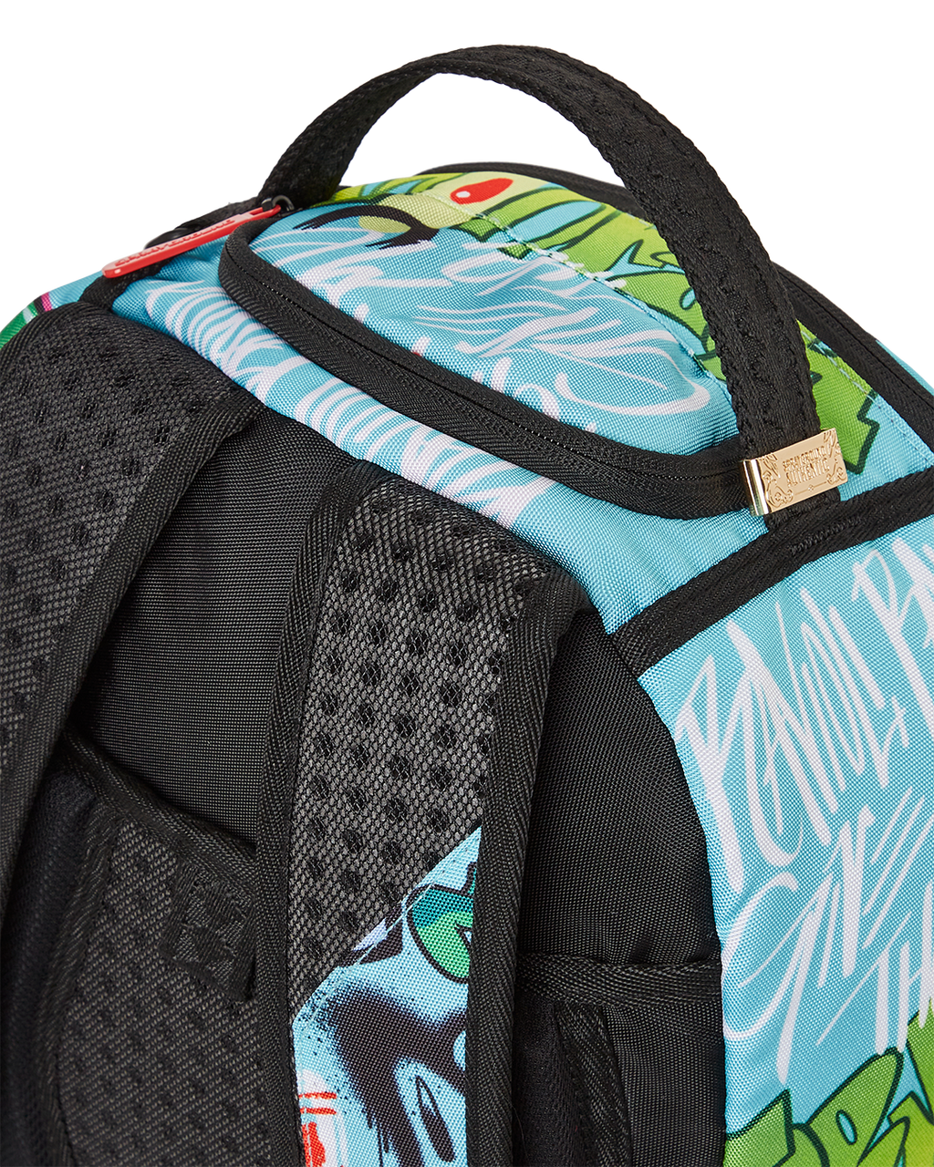 PLANKTON ON THE RUN (DLXR)