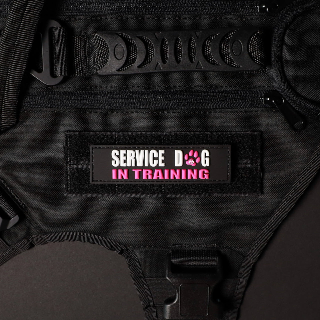 Service Dog In Training w/ Pink Paw