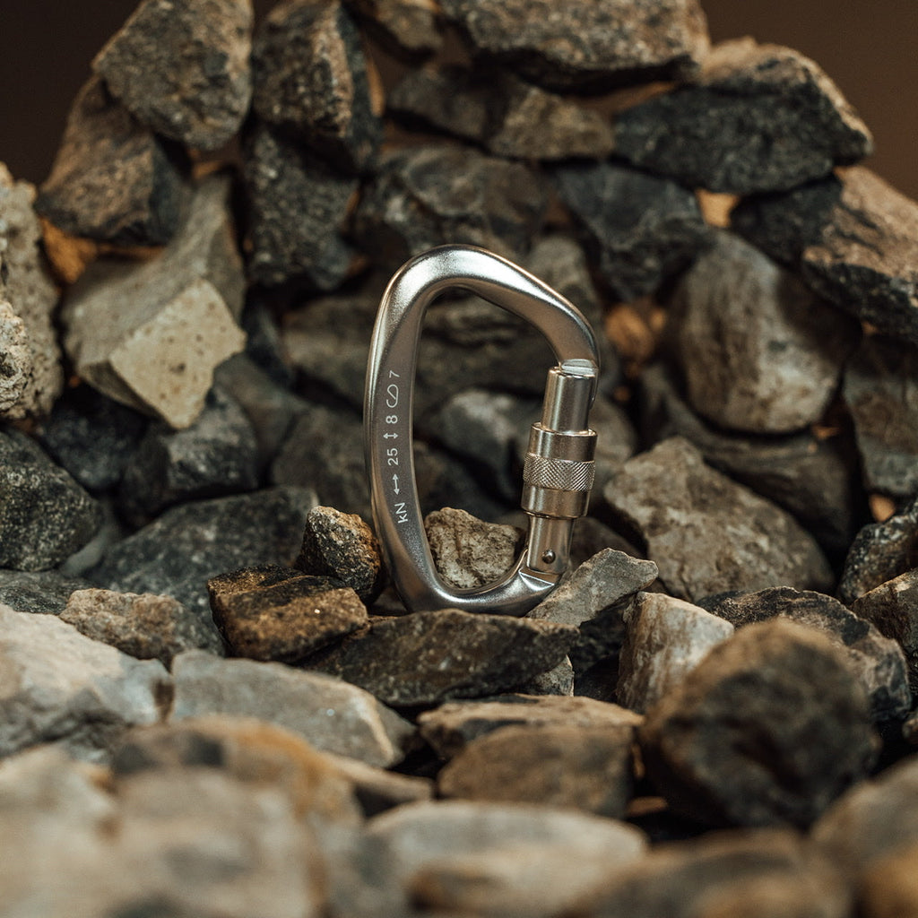 Accessory Carabiner Silver