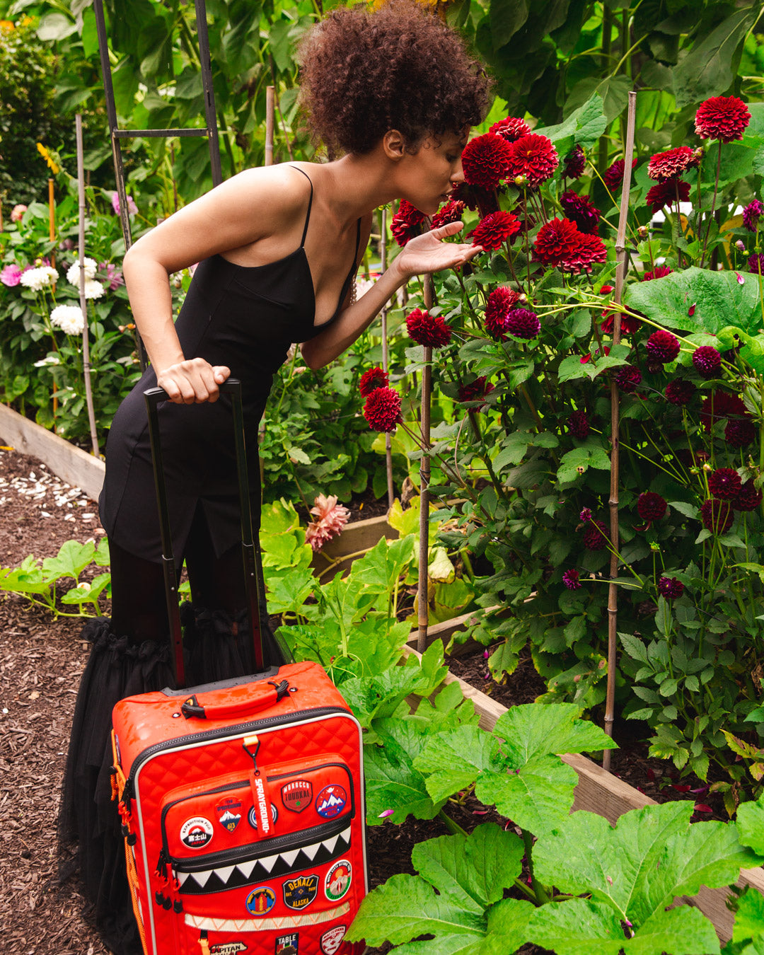 THE GLOBAL EXPEDITION JETSETTER CARRY-ON LUGGAGE