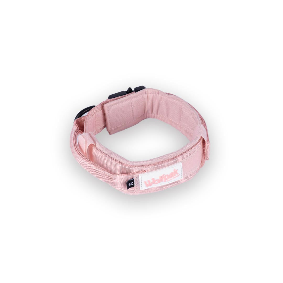 Tactical Nylon Dog Collar Dream Pink