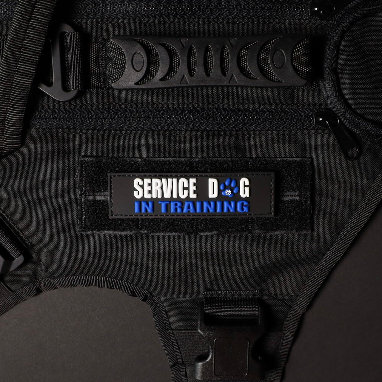 Service Dog In Training w/ Blue Paw