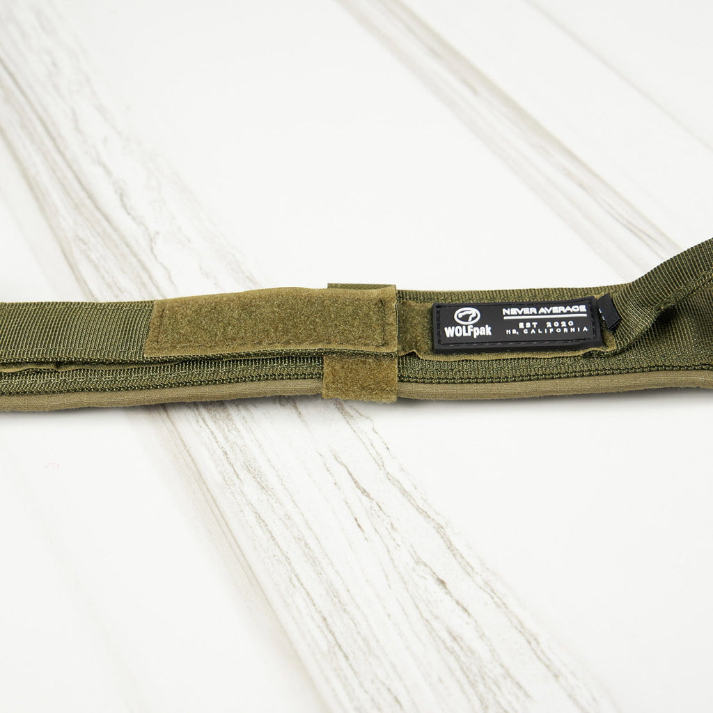Tactical Nylon Dog Collar Green