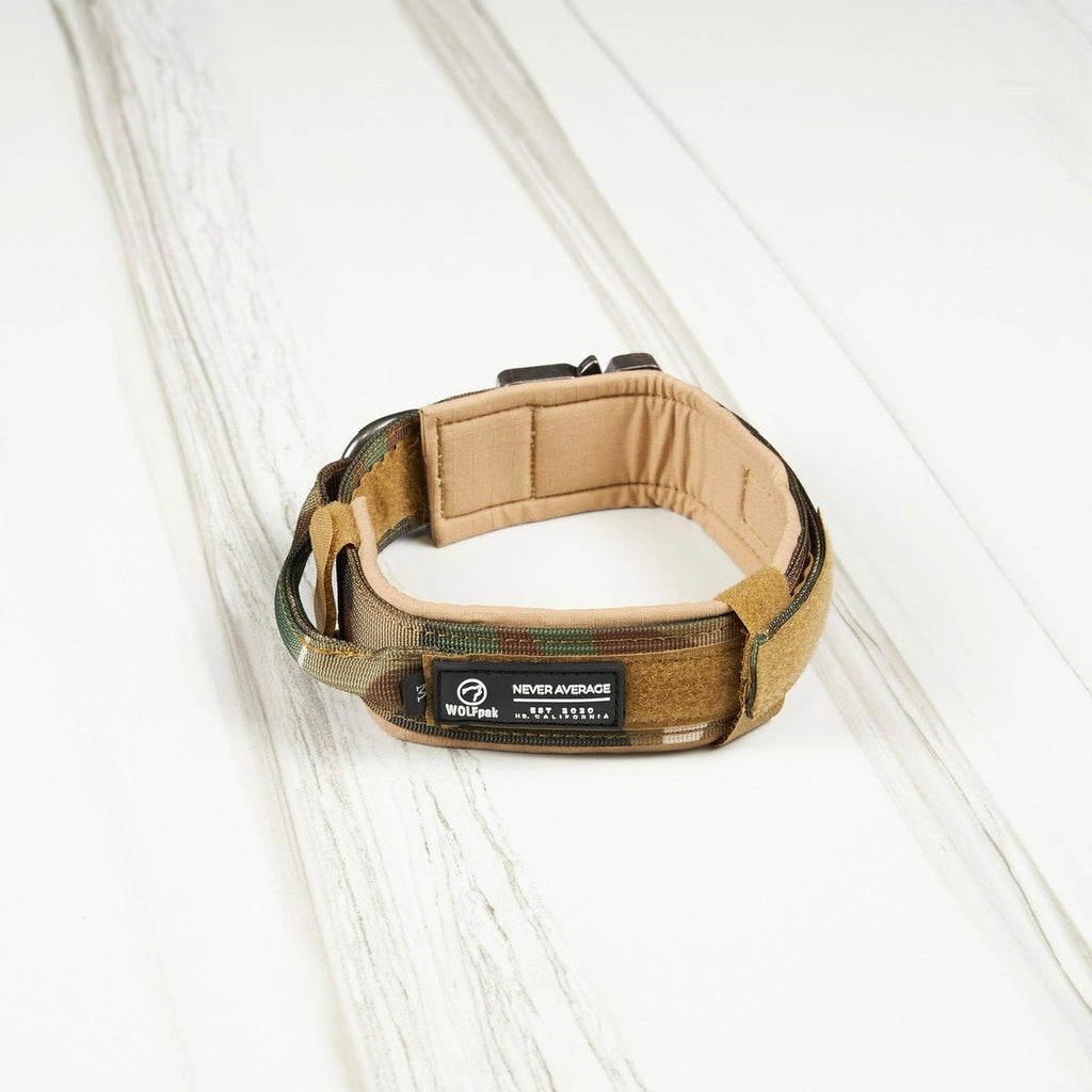 Tactical Nylon Dog Collar Camo