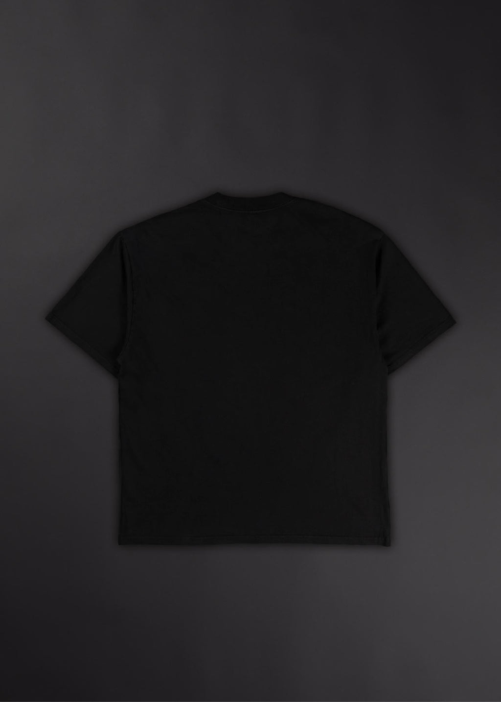 "Fallen" Dante's Inferno Graphic T-Shirt