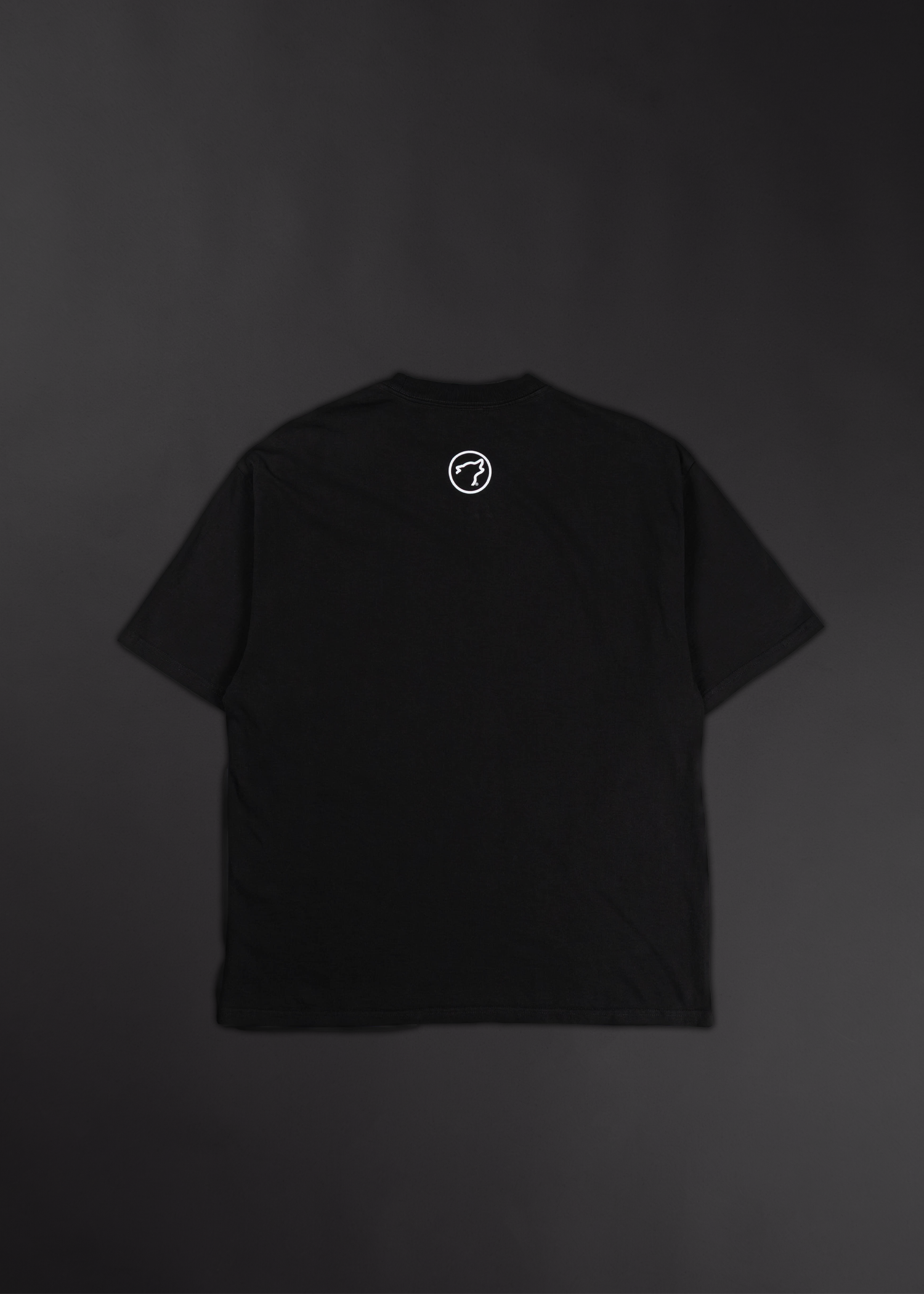 Eternal Bloom Graphic T-Shirt Bundle Black