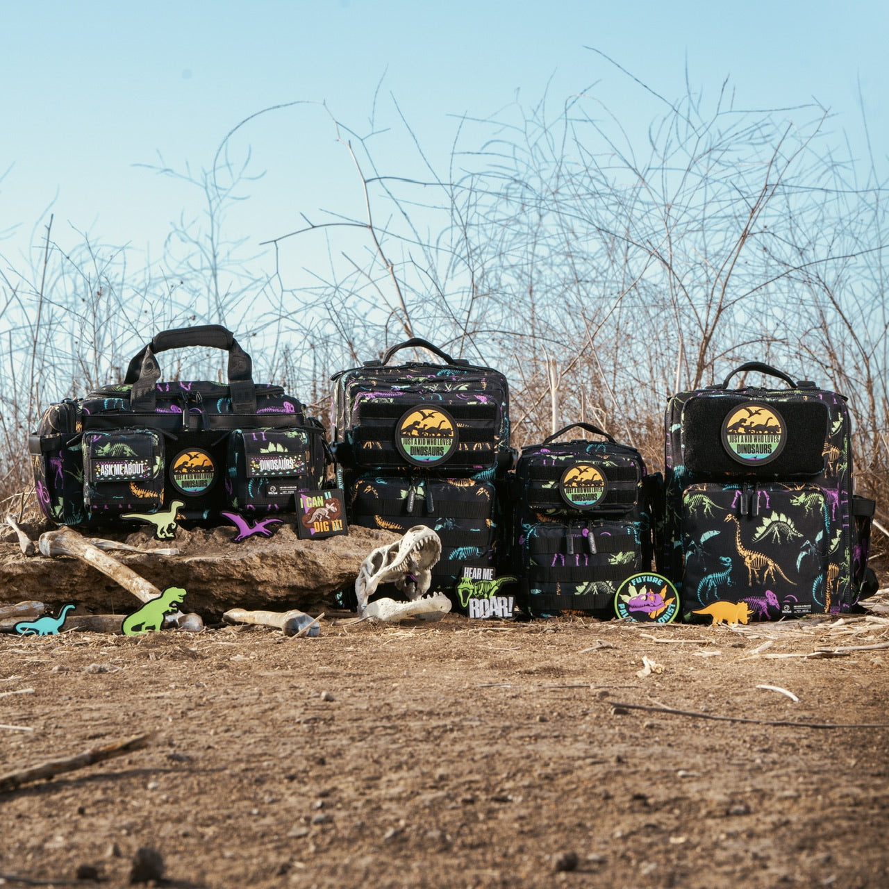 Dino Pterodactyl Patch