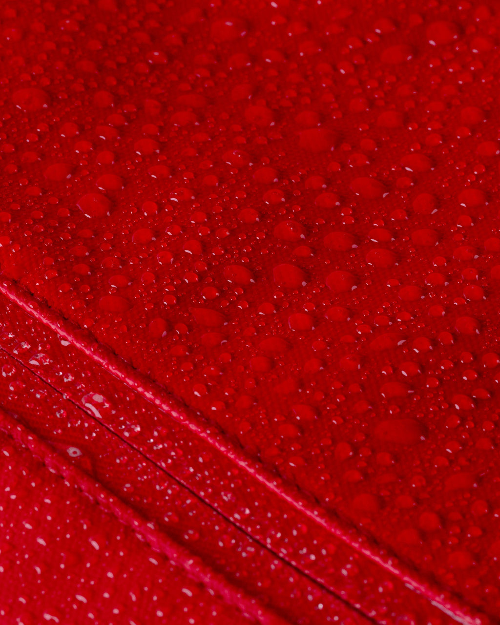 Cascade Backpack - Compact