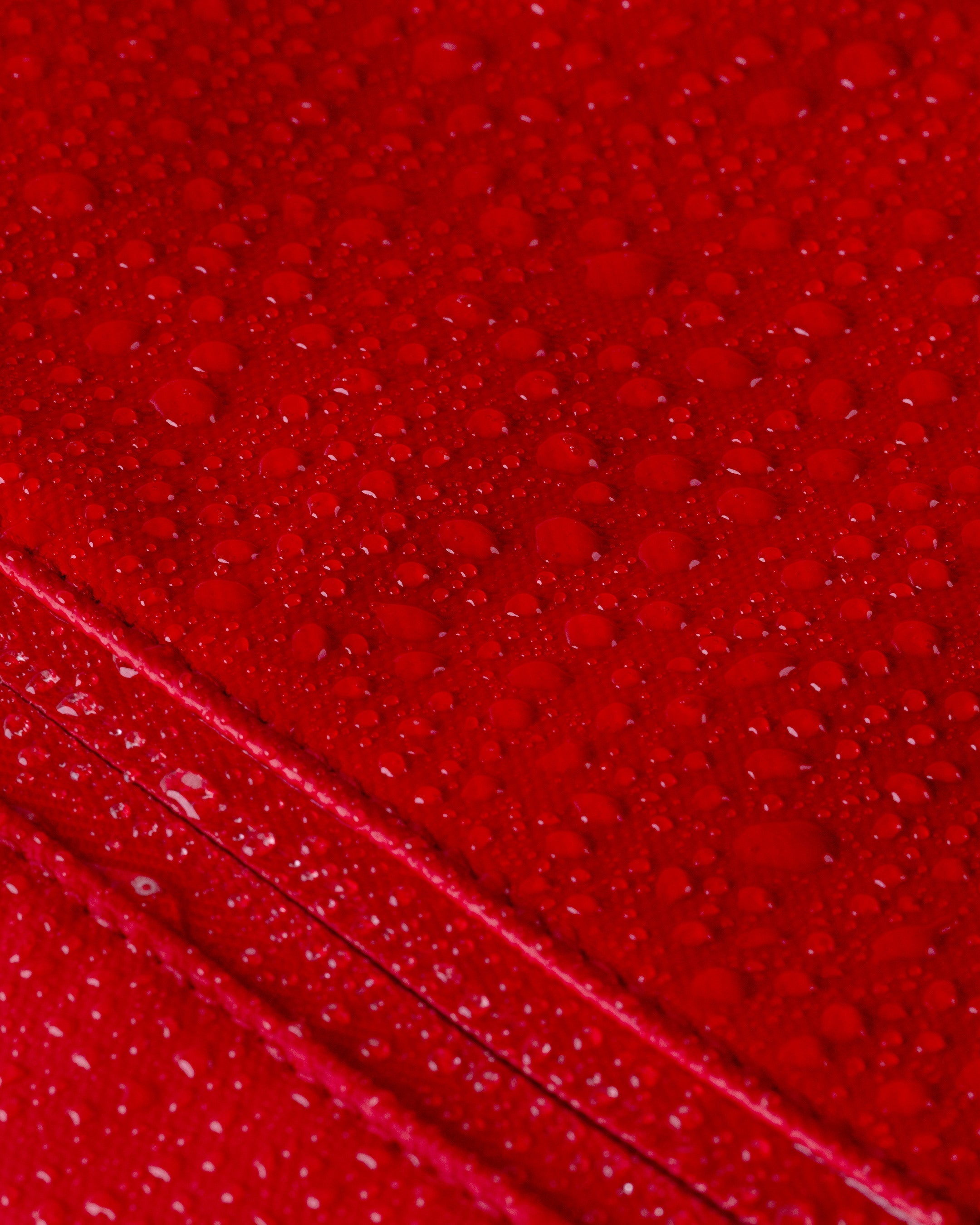 Cascade Backpack - Standard