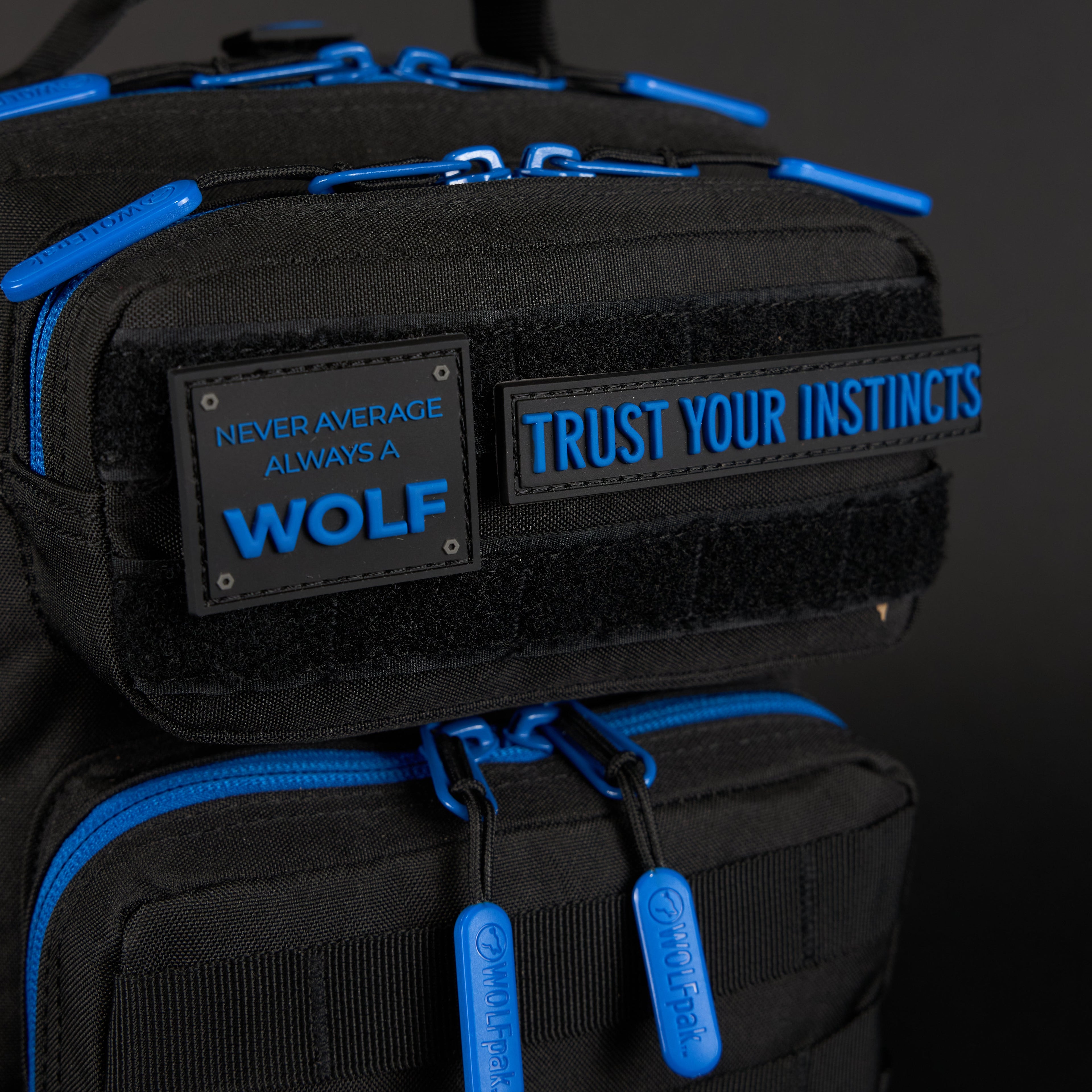 9L Backpack Mini Blue Wolf
