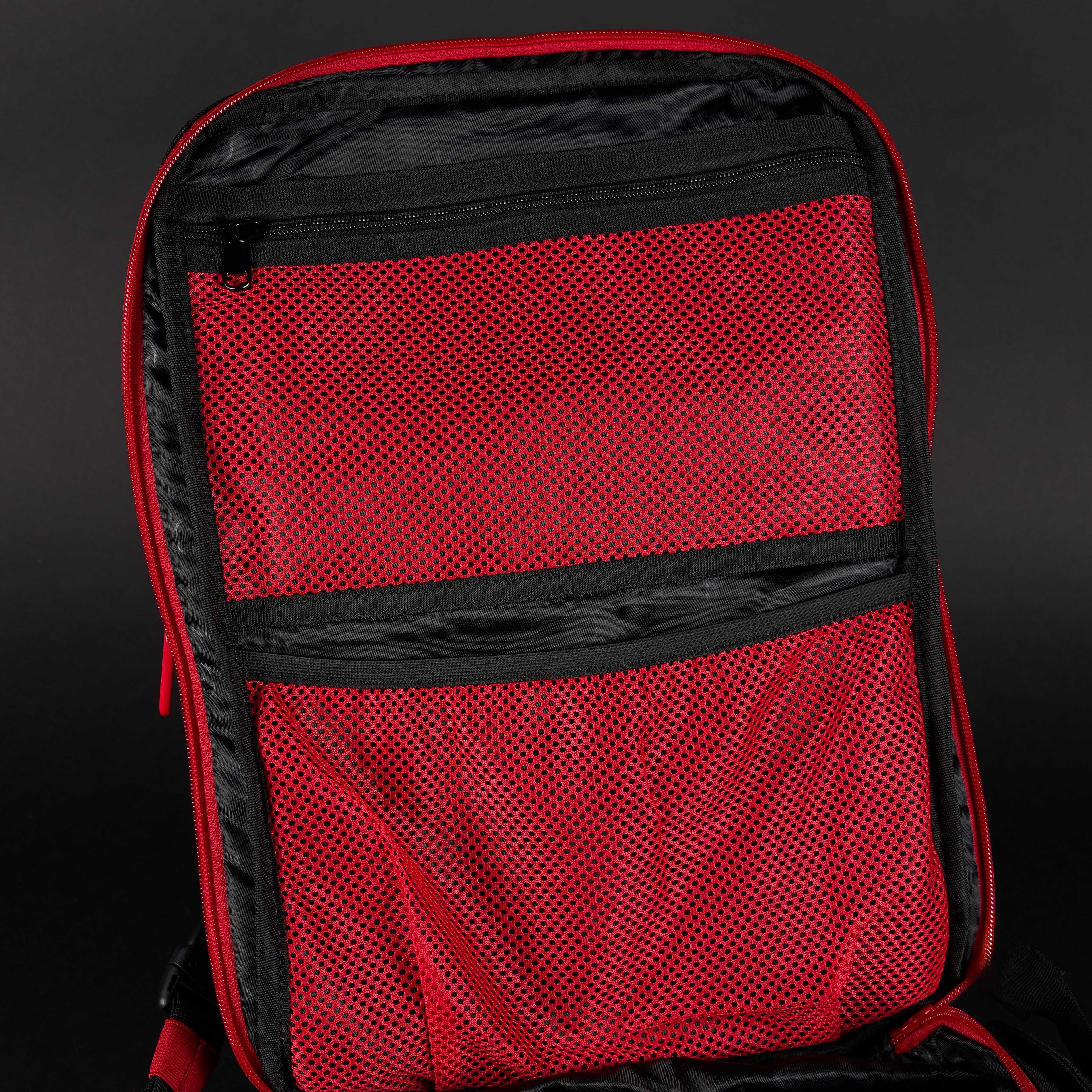 25L Dragon's Lair Gym x WOLFpak Collaboration Backpack