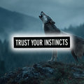 Trust Your Instincts Black